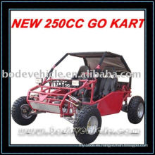 250CC 2 ASIENTOS BUGGY (MC-422)